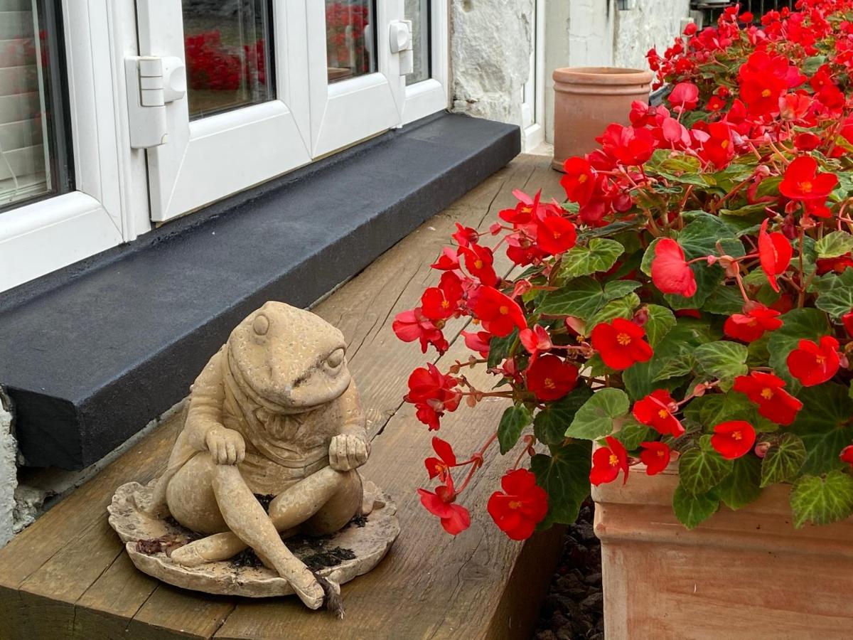 Toadhall Rooms Muchalls ภายนอก รูปภาพ