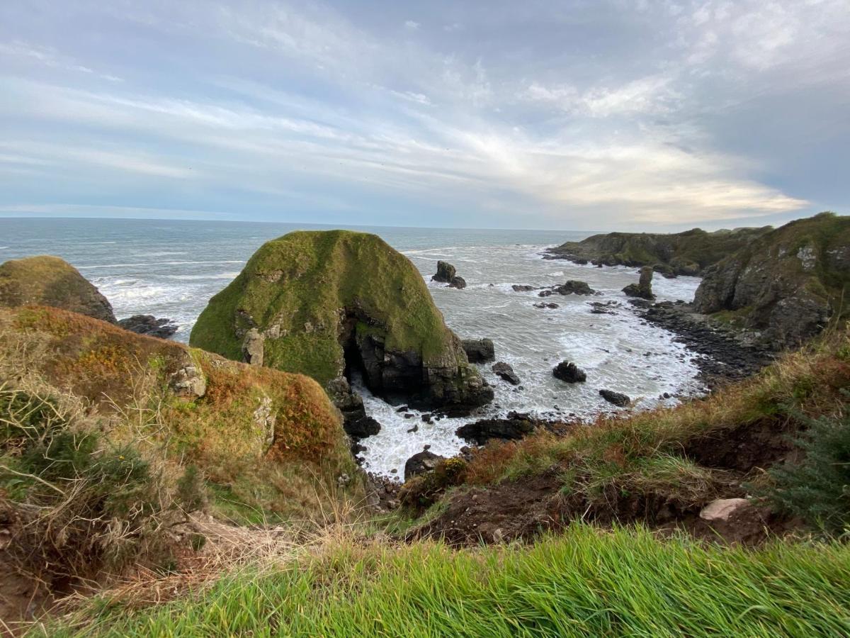 Toadhall Rooms Muchalls ภายนอก รูปภาพ