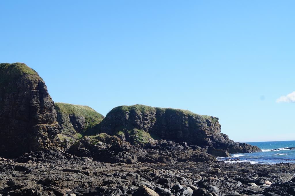 Toadhall Rooms Muchalls ภายนอก รูปภาพ